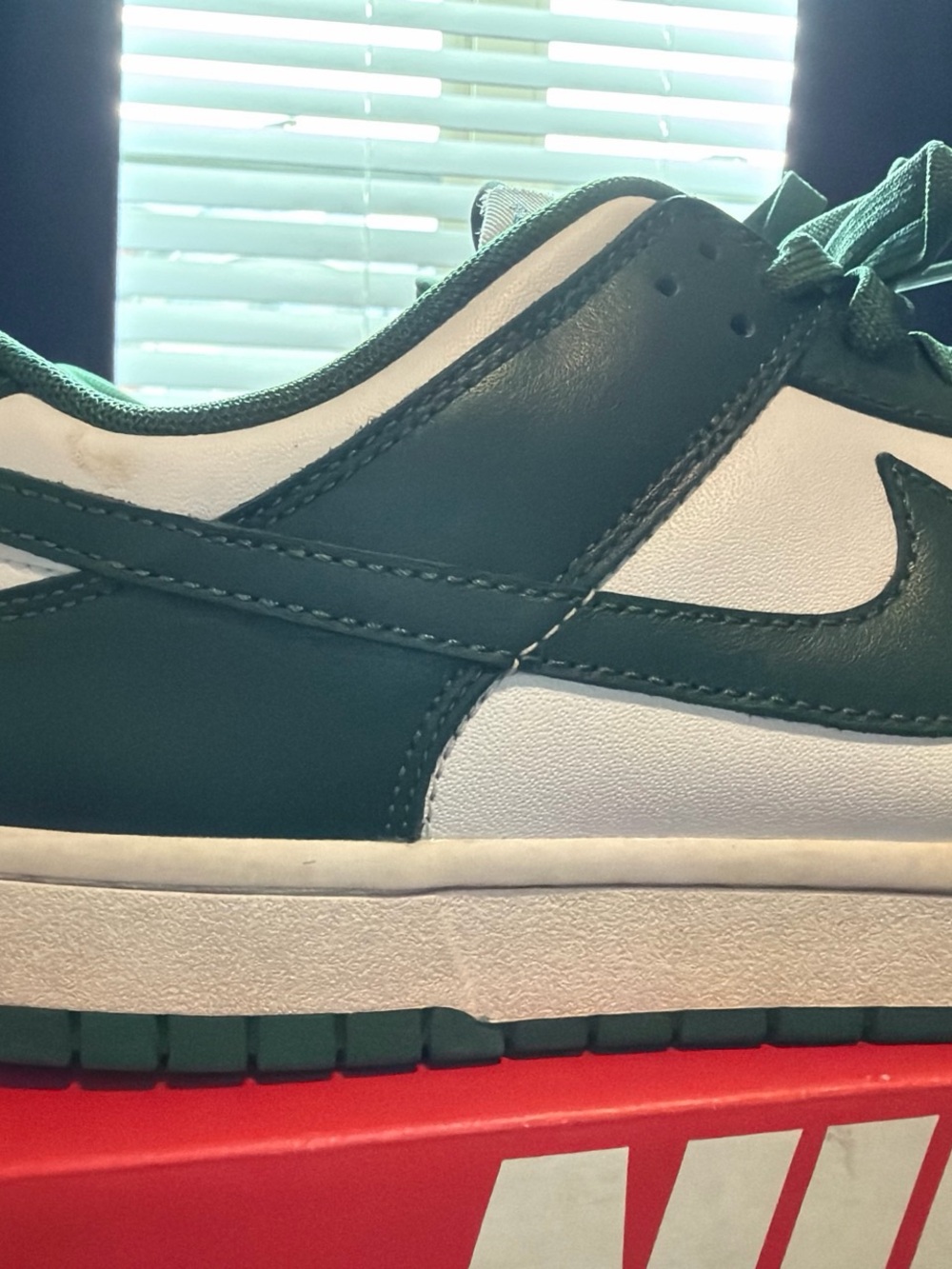 Nike Dunk Low Michigan Greens - Picture 5 of 5